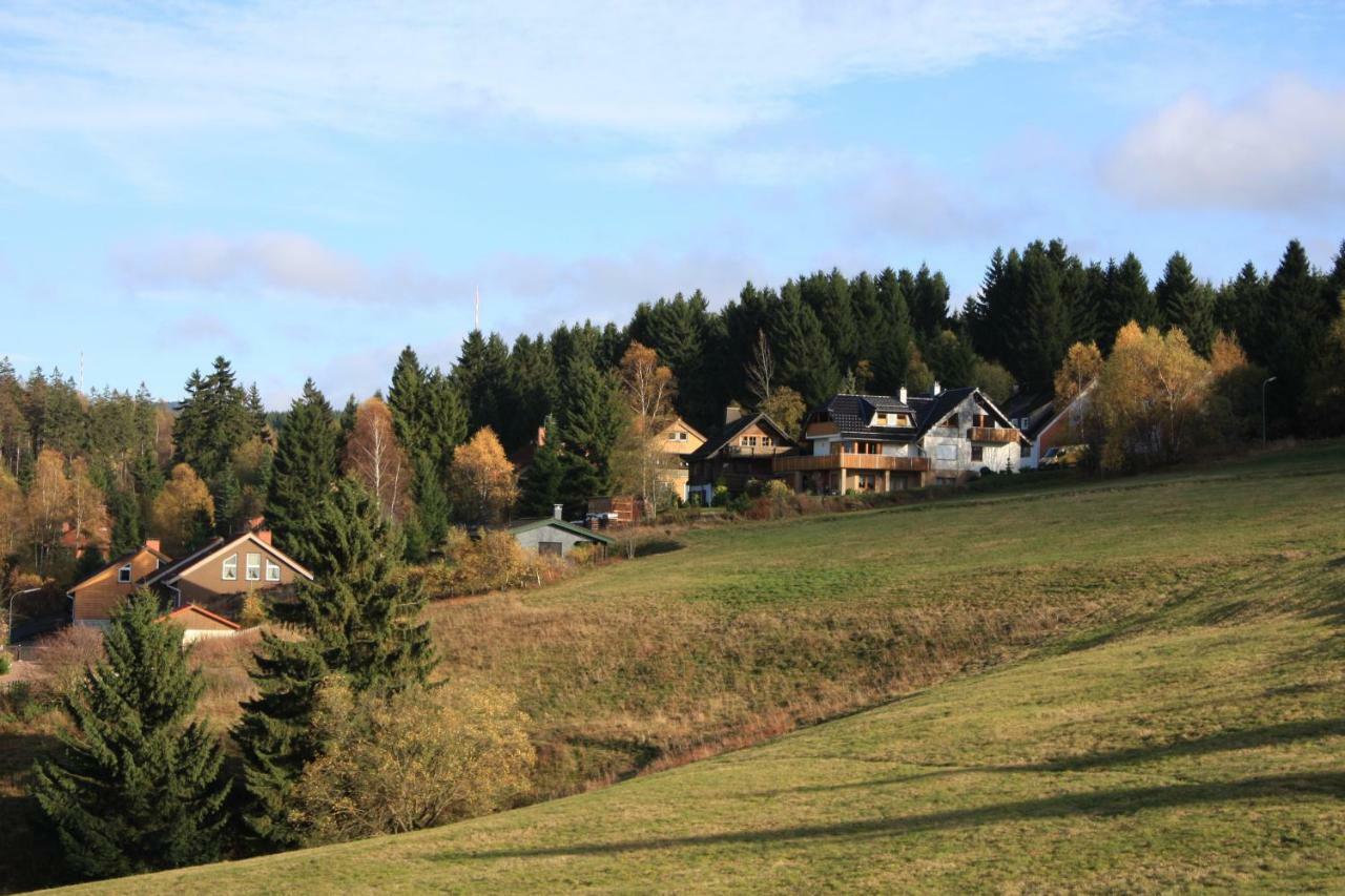 Kurpark Domizil Villa Алтенау Екстериор снимка