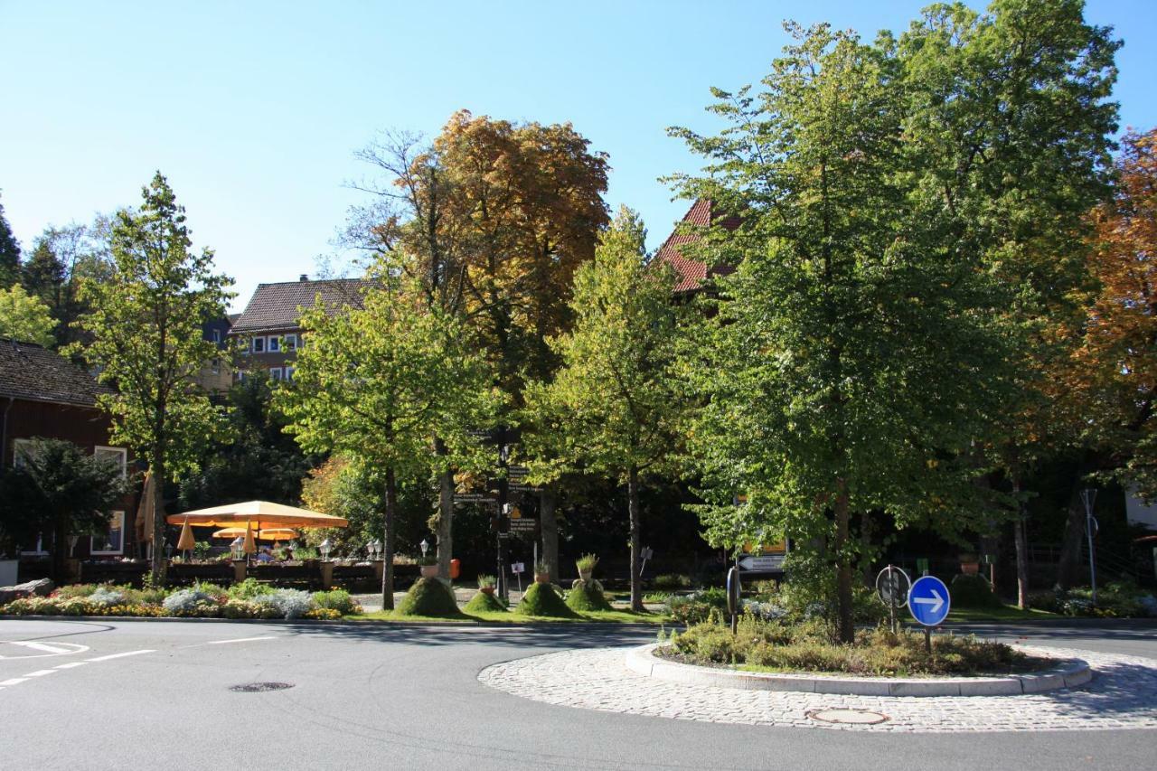 Kurpark Domizil Villa Алтенау Екстериор снимка